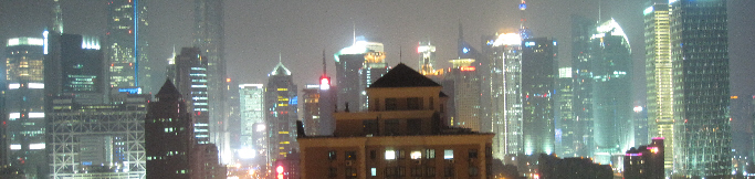 A view of Shangai - impressive but not efficient (but it looks great)